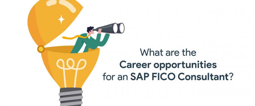 sap fico consultant job